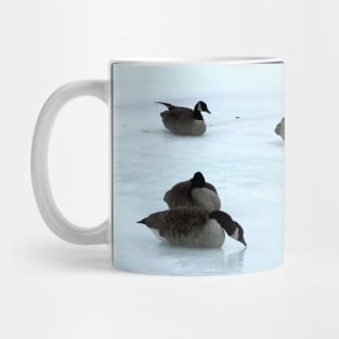 Canadian Geese Flock Resting On The Snow Mug